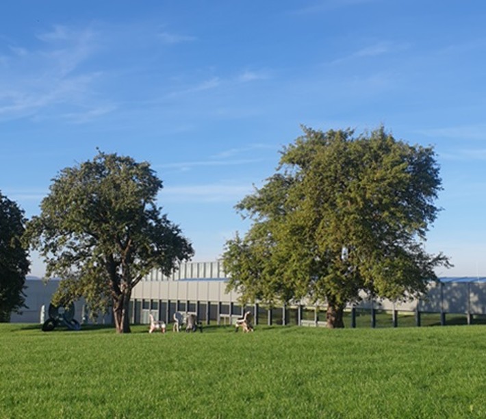 Bäume auf dem Außengelände