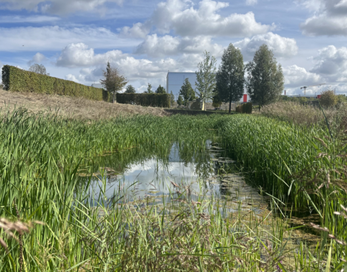 Retentionsbecken